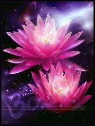Lotus Of The Heart Lotus Flower Wallpaper Lotus Flower Pictures Lotus Flower Art