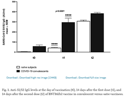 As vacinas da moderna e pfizer são desenhadas para gerar esse tipo de anticorpo. Vacinas Portugues Brasil