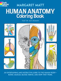 Order today with free shipping. Human Anatomy Coloring Book An Entertaining And Instructive Guide To The Human Body Bones Muscles Blood Nerves And How They Work