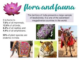 Flora = flowersfauna = animalsflorafauna1. Flora And Fauna Of India