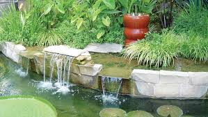 I've just been doing some research on some final plant ideas and came across a website that stated that using cobbles/pebbles or rocks around the edge of the pond would be bad for young amphibians and cause them. Bog Gravel Filtration Water Cleaned By Mother Nature Pond Trade Magazine