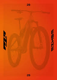 Ktm Ebike Katalogus 2020 By Ebikeshop Hu Issuu