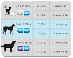 Zylkene Dose Blog