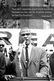 103 Year Old Civil Rights Icon Thank God I Learned That Color Makes No Difference Malcolm X Malcolm X Quotes Black History