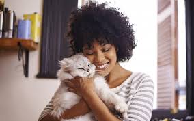Cat phoenix lives in phoenix park near the phoenix cafe. Vets Near Me Cats Are Awesome East Valley Animal Hospital