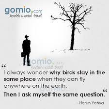 Why Is It That Quotes Quotesgram