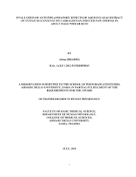 Image result for Syzygium rowlandii