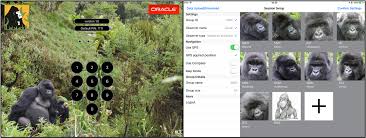 Focal animal sampling involves observing a single individual of a particular species, usually for a specified period of time. How To Use Animal Observer By Dfgfi