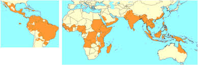 Epidemiology Monthly Surveillance Report