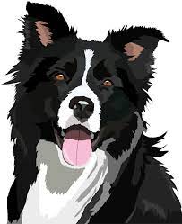 Pin By Rosemarie Bird On Dogs In 2020 Border Collie Art Dog Paintings Puppy Art