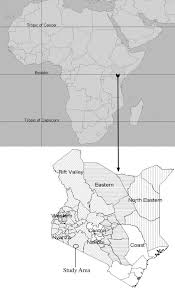 Image result for Blepharis swaziensis