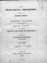 Image result for Aneilema dispermum