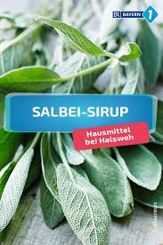 Salbei Sirup Rezept Fur Hausmittel Gegen Halsweh Br De Salbei Halsweh Hausmittel