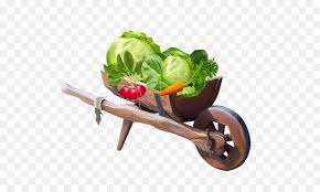 Australian owned & operated homewares for more than just ingredients | tag using #wheelandbarrow and shop our posts👇 linktr.ee/wheelandbarrowhomewares. Wheelbarrow Background Png Download 600 534 Free Transparent Drawing Png Download Cleanpng Kisspng