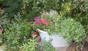 Mir gefiel eigentlich nicht, daß die wanne so glänzt, aber nach einigen tagen im garten wurde sie matt und sieht nun genial aus. Wannenrecycling Pflanzgefasse Fur Den Garten