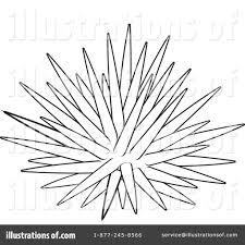 How To Draw Sea Urchin Sea Urchins Art Cartoon Coloring Pages Prints