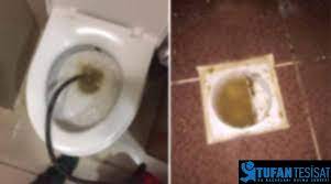 .klozet taharet musluğu su kaçırıyor, klozetin zemine su kaçırması sorunu, alaturka tuvalet su kaçırıyor, klozet sifonu kaçırıyor, klozet su ayarı nasıl yapılır, klozet şamandırası suyu kesmiyor, klozet sifon mekanizması, klozet tamiri video, klozet tamiri nasıl olur, klozet tamirini kim yapar Klozet Zemininde Islaklik Neden Olur Tufan Tesisat
