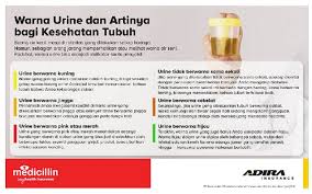 Buang air kecil sudah adalah salah satu perkara yang wajib dilakukan oleh semua manusia. Medicillin Warna Urine Dan Artinya Bagi Kesehatan Tubuh