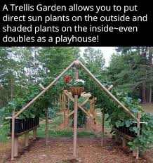 Pin By Claudia Giovannetti On And How Does Your Garden Grow Plants Garden Trellis Cucumber Trellis