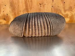 Are Armadillo Shells Bulletproof Or Just Bullet Resistant? - Quora