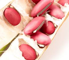 Image result for Canavalia gladiata