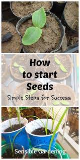 How To Start Seeds With Sensible Gardening Planting Seeds Indoors Plants Starting Seeds Indoors