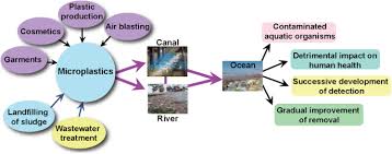 359 din 8 septembrie 2004 privind simplificarea formalităților la înregistrarea în registrul comerțului a persoanelor fizice. Detection And Removal Of Microplastics In Wastewater Evolution And Impact Springerlink