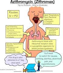 Azithromycin Pharmacology Nursing Nurse Practioner Nursing School Survival