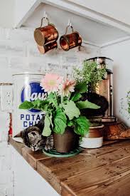 Coffee beans from africa and the middle east have a denser body and mouthfeel, moderate acidity, and a range of flavor overtones that lean toward spicy or fruity. Quarantine Favorite Coffee Maker Review Two Paws Farmhouse