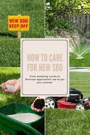 Water heavy the first irrigation cycle to wet the new sod and the soil profile to a depth of four to six inches. How To Care For New Sod Lawn Care Business Cards Lawn Care Business Lawn Care