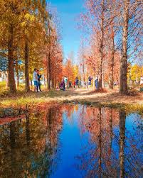 It looks like you're using artstation from canada. æ³°å®‰åœ‹å°è½ç¾½æ¾ æ—…éŠå'–å¹«ä½ å¯¦ç¾å¤¢æƒ³æ—…è¡Œ