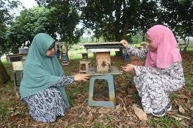 Demikian yang sobat sampaikan, tentunya sobat telah memahami wawasan baru untuk memanfaatkan apa yang. Penyelidik Upm Temui Gula Trehalulosa Dalam Madu Kelulut Baik Untuk Kesihatan Universiti Putra Malaysia
