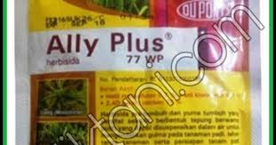 Check spelling or type a new query. Herbisida Terbaik Untuk Padi Obat Rumput Padi Tidak Mati Kliktani Com