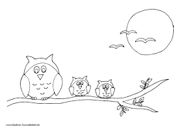Pin Auf Owls