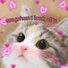 A wholesome meme is a type of meme that portrays self love and confidence, usually when you see a wholesome meme, it will contain a bunch of emoji style hearts, and a gun, a gun portrayed to be a. 1