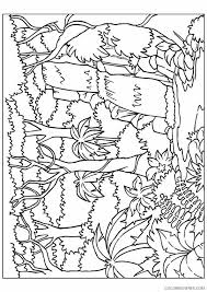 Waterfalls also occur where meltwater drops over the edge of a tabular iceberg or ice shelf. Nature Coloring Pages Forest Waterfall Coloring4free Coloring4free Com