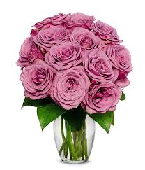 Maybe you would like to learn more about one of these? One Dozen Purple Roses At From You Flowers