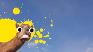 Actually, there isn't much more. Camel Jokes Funny Camel Jokes Beano Com