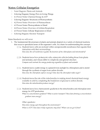 Photosynthesis Making Energy Answer Key Worksheet Xingtorlemo