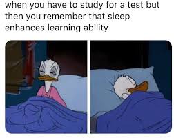 Jordyn Pollard - Today's studying meme is a MOOD 😴 My Psychology 30 exam  is tomorrow and we did learn that sleep improves memory... 🤓 | Facebook