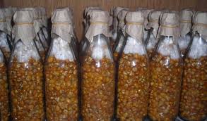 We did not find results for: Cek Sekarang Kisaran Harga Benih Dan Bibit Jagung 2021 Berdasarkan Jenis Disini Aplikasi Pertanian Media Agribisnis Gdm Agri