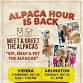 Alpaca Hour at Inca Social – Arlington event image