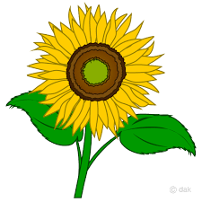 Free Free 264 Clipart Sunflowers Images SVG PNG EPS DXF File