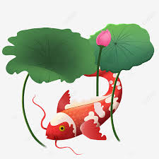 Check spelling or type a new query. Gambar Koi Di Samping Daun Teratai Daun Teratai Teratai Koi Png Transparan Clipart Dan File Psd Untuk Unduh Gratis