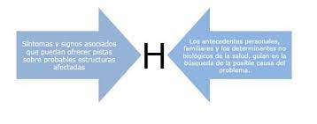 Las Dos Vertientes Informativas De La Anamnesis Download Scientific Diagram