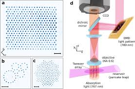 View our top five tweezer tips. Preparation Of Hundreds Of Microscopic Atomic Ensembles In Optical Tweezer Arrays Npj Quantum Information