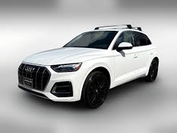 Image result for Ibis White 2022 Q3