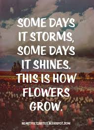 Some Days It Storms Some Days It Shines This Is How Flowers Grow Shine Quotes Nature Quotes Inspirational Words