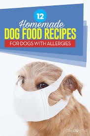 12 homemade dog food for allergies recipes