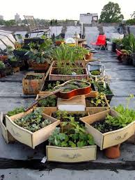 Diy Container Garden From Everyday Items Repurposed Planter Urban Garden Rooftop Garden